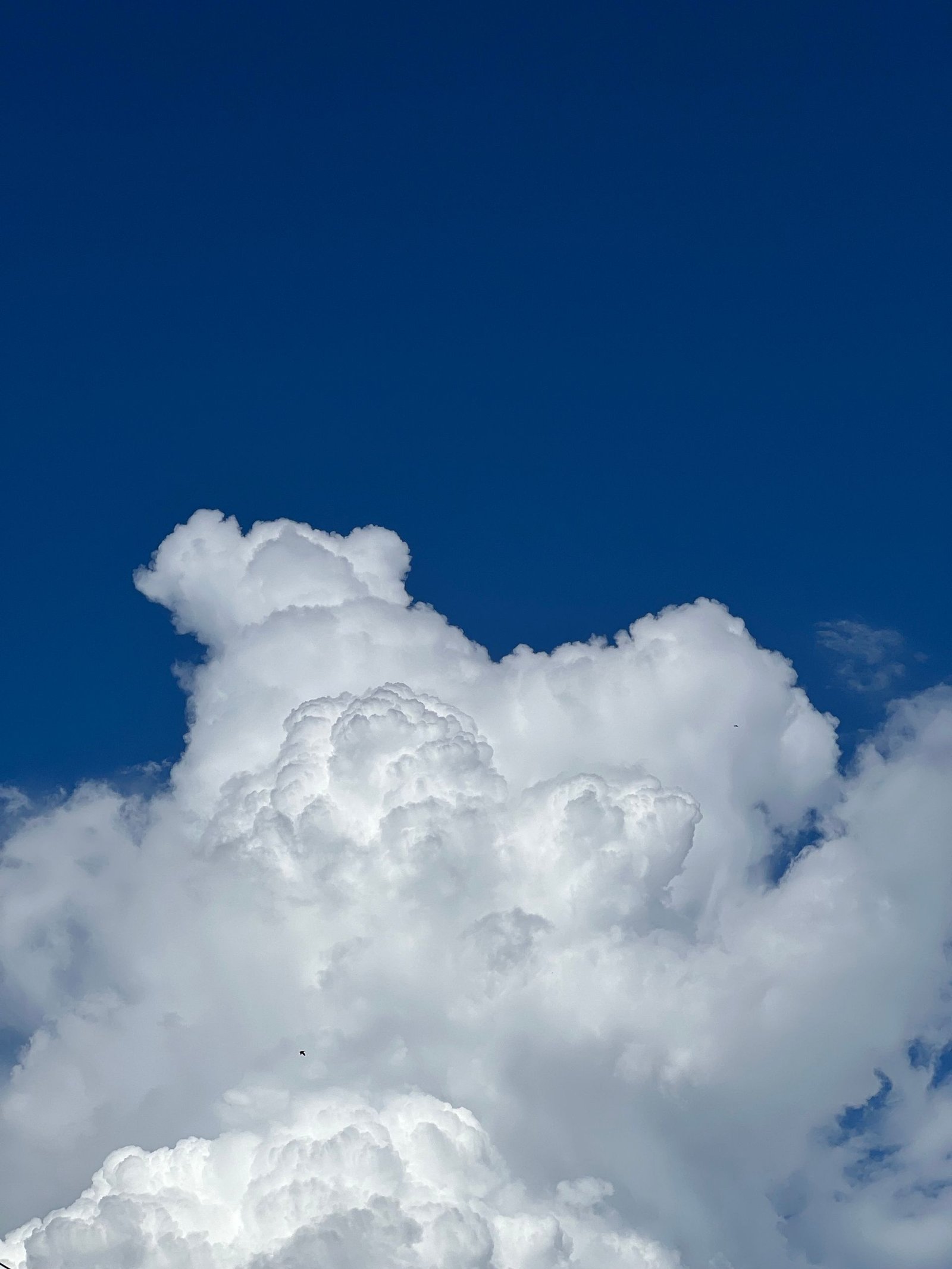 Blue sky filled with soft clouds